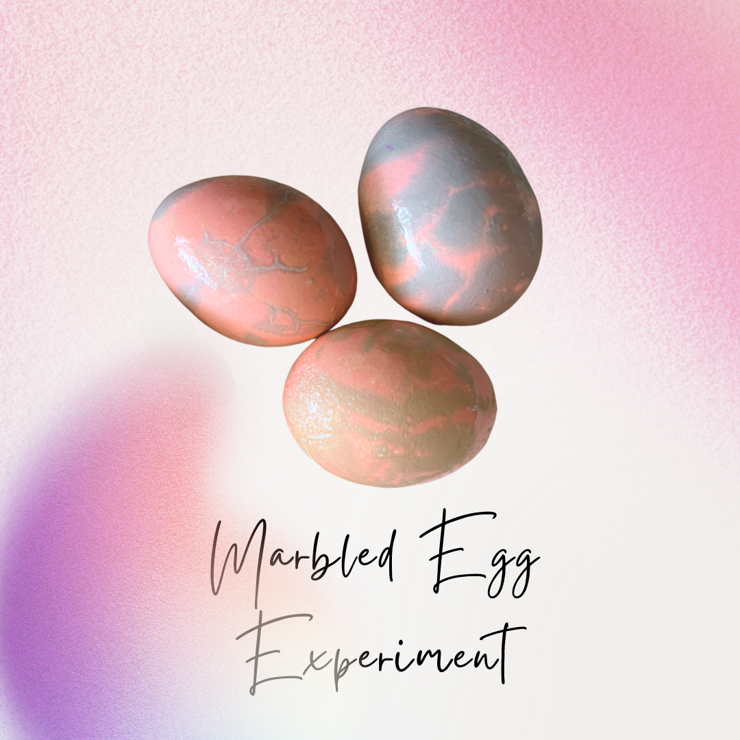 Marbled Egg Experiment for Kids