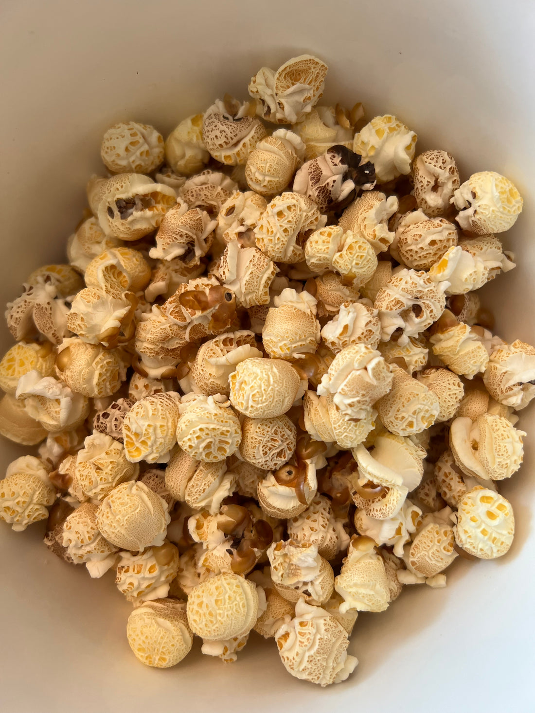 Fun with Farmer's Cob Popcorn: An All-Natural Science Adventure for Kids!